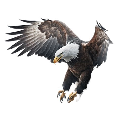 Eagle Flying White Transparent, Eagle, Wing, Soaring PNG Transparent ...