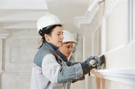 Tips on How to Search for the Best Plaster Ceiling Cornice Suppliers﻿ - The Wonder Cottage