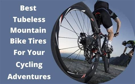 The Best Tubeless Mountain Bike Tires For Your Cycling Adventures (2024) | Bike Avenger