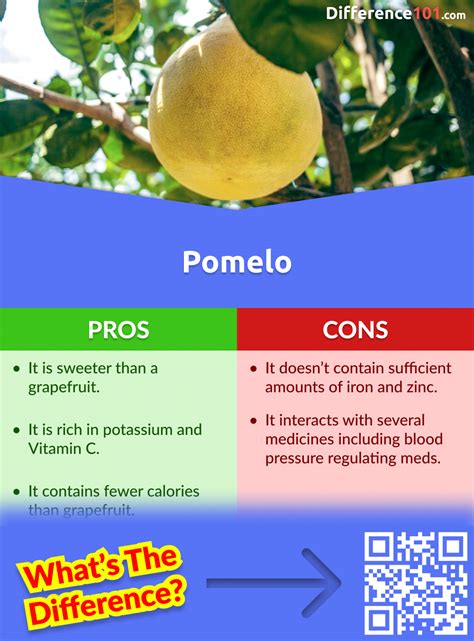 Grapefruit vs Pomelo: 6 Key Differences, Pros & Cons, Examples ...