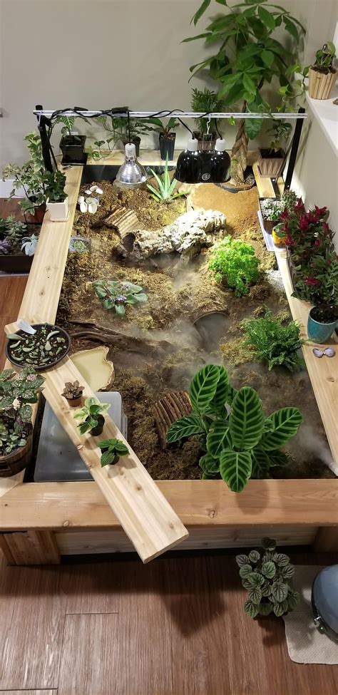 I use the board the baby plants are on currently to lean across the ...