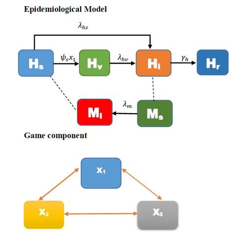 Schematic representation for epidemiological-behavior model showing the ...