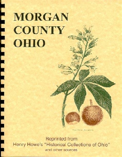 The History of Morgan County Ohio