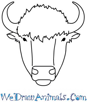 How to Draw a Buffalo Face