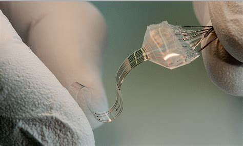 A soft approach kick-starts cybernetic implants | Science