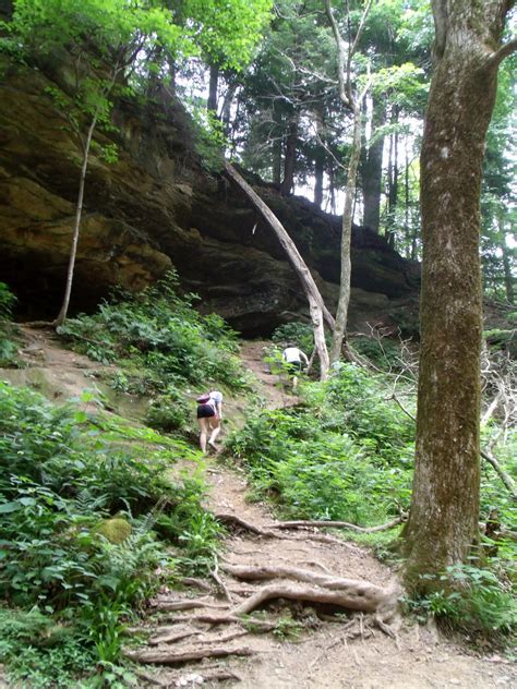 Art of 'Patience': Hiking at Turkey Run State Park....