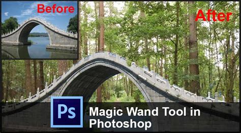 Magic Wand Tool in Photoshop | How to use the Magic Wand Tool