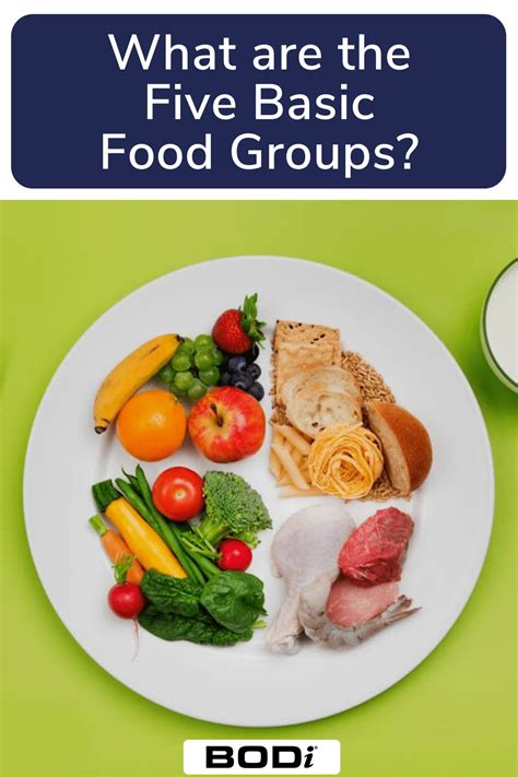 What Are the Basic Food Groups? | BODi