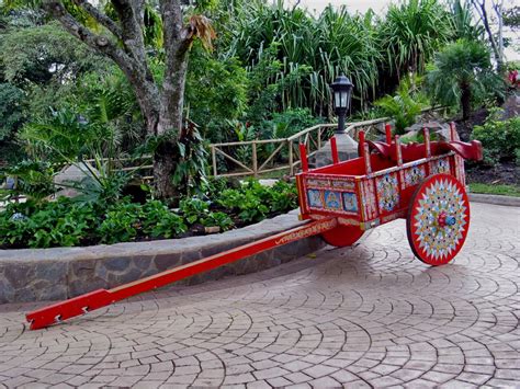 Hand-painted Costa Rican ox cart | Costa rica, Costa rican, Outdoor art