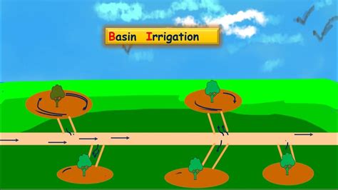 Basin Irrigation method || Ring Basin Irrigation method|| #irrigation - YouTube