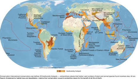 Map with highlighted areas where hotspots occur like the Mediterranean Basin | Conservation ...