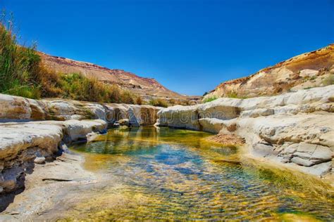 Oásis da água no deserto imagem de stock. Imagem de bonito - 64155477