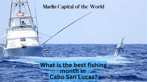 What Is the Best Fishing Month in Cabo San Lucas? | InfoVacay