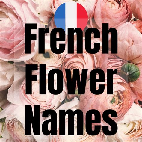 French Flower Names | FrenchLearner Vocabulary