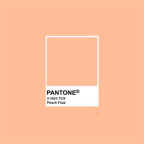 pantone peach fuzz | Peach fuzz, Pantone, Peach colors