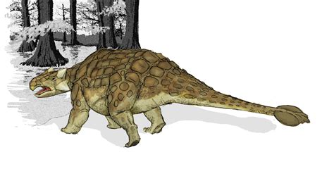 Ankylosaurus | Fossil Wiki | FANDOM powered by Wikia