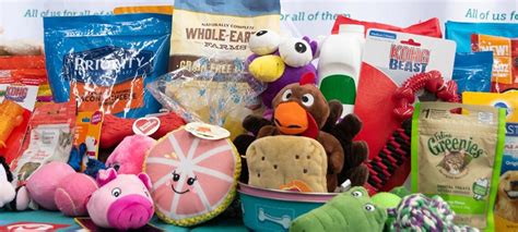 Donating Toys To Animal Shelters | Wow Blog