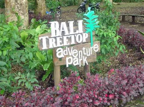 Bali Treetop Adventure Park – Bird’s-eye view - GreenerBali