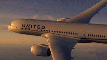 United Airlines Flying GIF - United Airlines Flying Airplane - Discover & Share GIFs