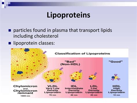 PPT - Lipoproteins PowerPoint Presentation, free download - ID:4709338