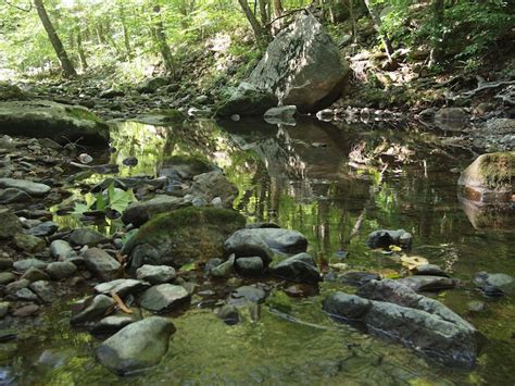 Brook Trout Fishing Report – North Fork Thornton River, Shenandoah ...