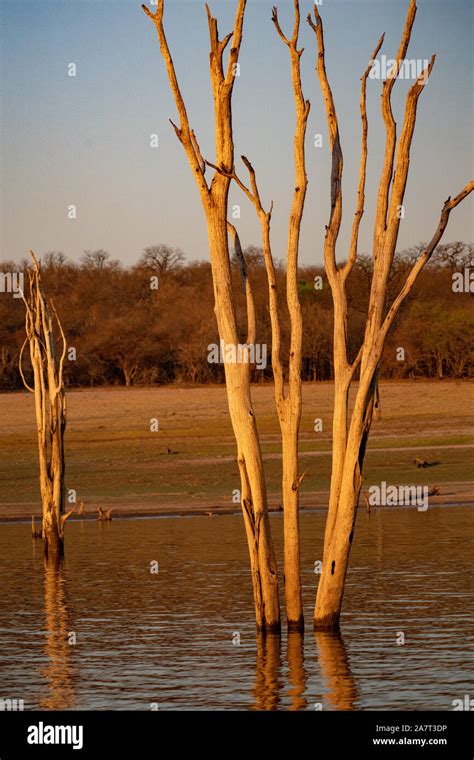 Lake Kariba -Zimbabwe and Zambia Stock Photo - Alamy