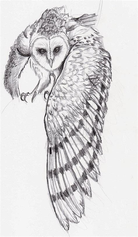 Interest tattoo ideas and design - Barn Owl In Flight Tattoo Sketch ...