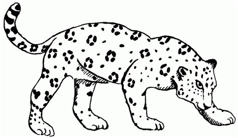 Jaguar Images For Kids - Coloring Home