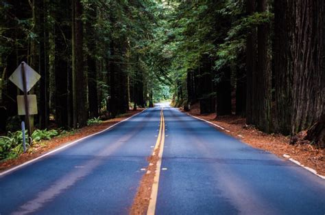 Top 5 Scenic Drives in Mendocino County for Unforgettable Road Trips ...