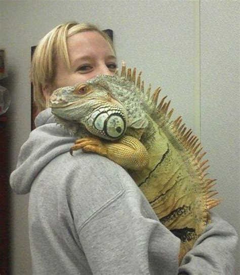 Gayle Fairbanks with her pet iguana Eugene. Eugene! | Iguana pet, Pet lizards, Cute reptiles