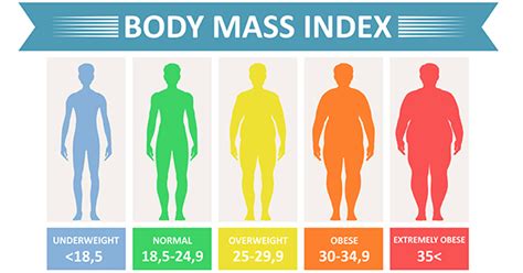 What is a BMI and How is it Calculated – WLFA