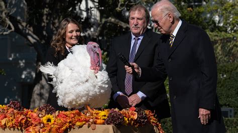 ‘No Fowl Play’: Biden Pardons a Pair of Thanksgiving Turkeys - The New ...