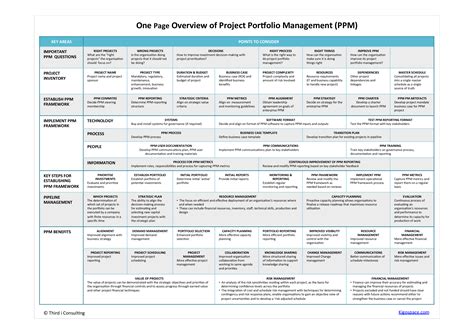 Project Portfolio Management One Page Overview - Do you need a One Page ...