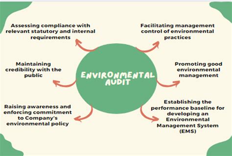 Rise of Environmental Auditing Services - Enterclimate