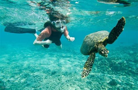 3D2N Perhentian Islands Snorkeling Excursion in Terengganu - Klook