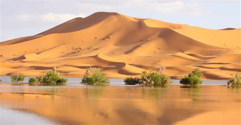 Cold Weather Has Made It All The Way To The Sahara Desert | The ...