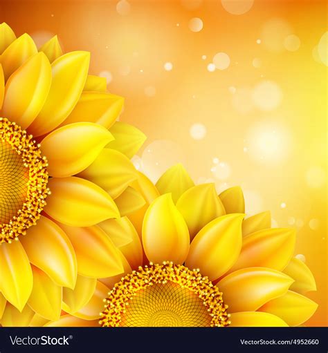 Sunflower Background - Life Styles