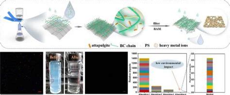 Micro/nano-plastic removal from wastewater using cellulose membrane: Performance and life cycle ...