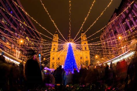 5 Magical Christmas Trees with Twinkle Lights That We Loved - Arc ...