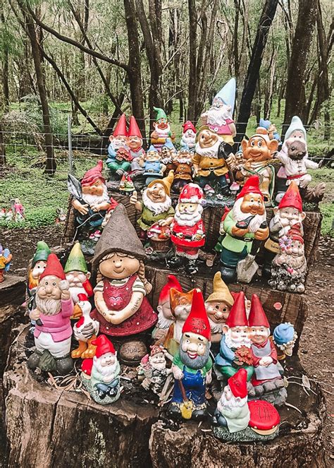 Gnomesville: Ferguson Valley Visitor Guide