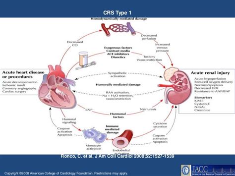 Cardiorenal syndrome