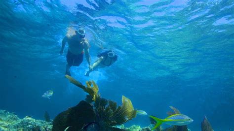 Key West Snorkeling | Coral Reef Snorkeling in Key West