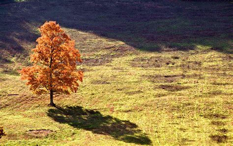 21 Best Places to See Fall Foliage in the United States