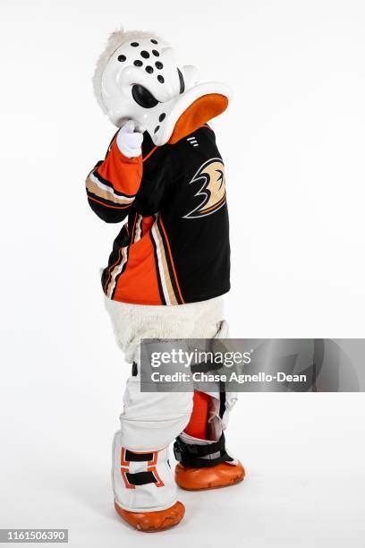 561 Anaheim Ducks Mascot Stock Photos, High-Res Pictures, and Images ...