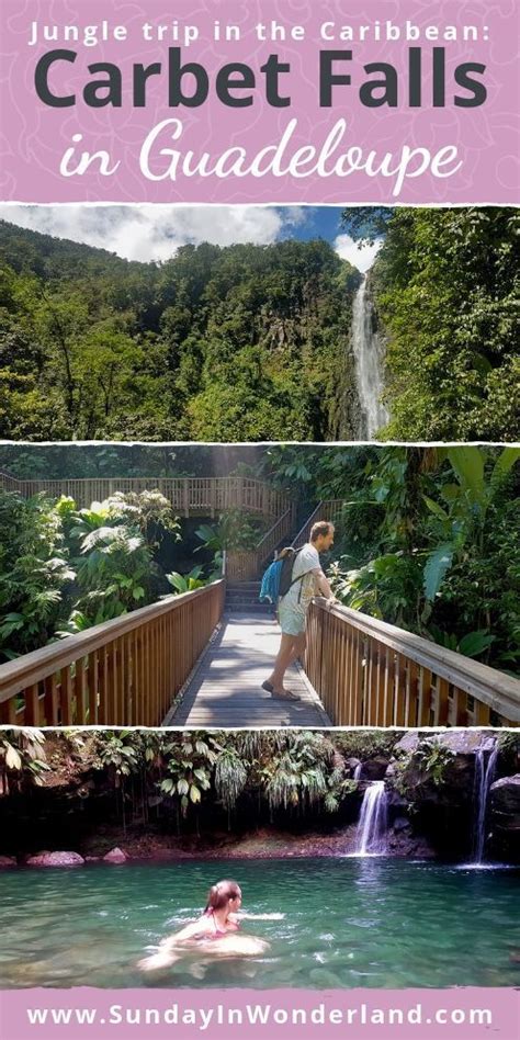 Carbet Falls in Guadeloupe | The Caribbean jungle trail review | Famous waterfalls, Caribbean ...