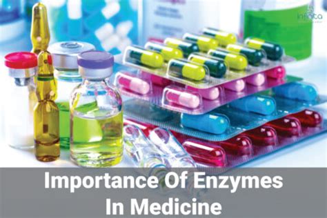 Importance Of Enzymes In Medicine | Infinita Biotech