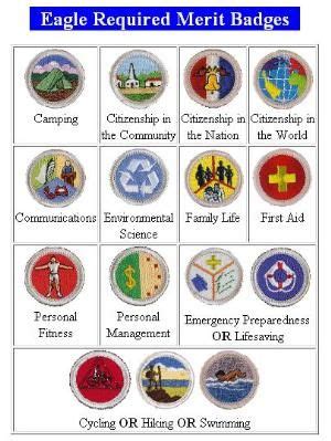 Printable List Of Merit Badges 2015 Merit Badge Counselor Survey - conloshuevososbrelamesa