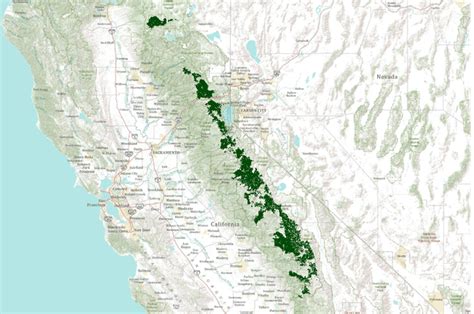 Sierra Nevada red fox potential habitat cores | Data Basin