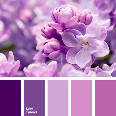 cool shades of purple | Color Palette Ideas