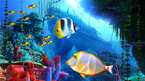 Fish 3D Screensavers - Coral Reef